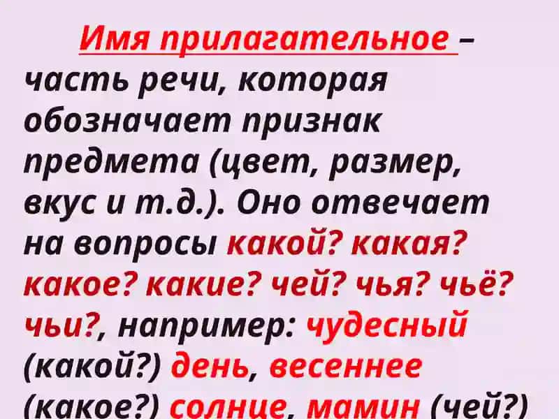 Имя прилагательное 2