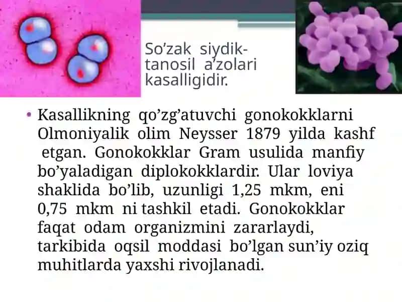 Siydiktanosila’zolarining nospetsifik infeksiya 2