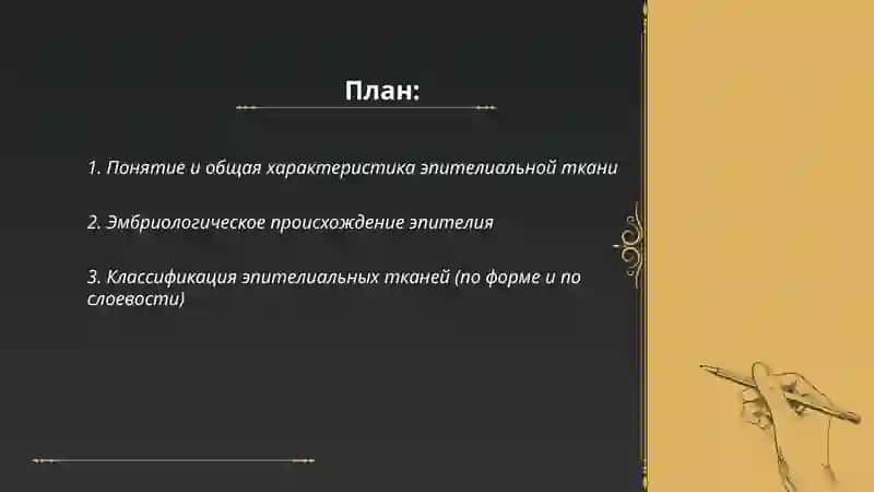 Эпителиальные ткани 2