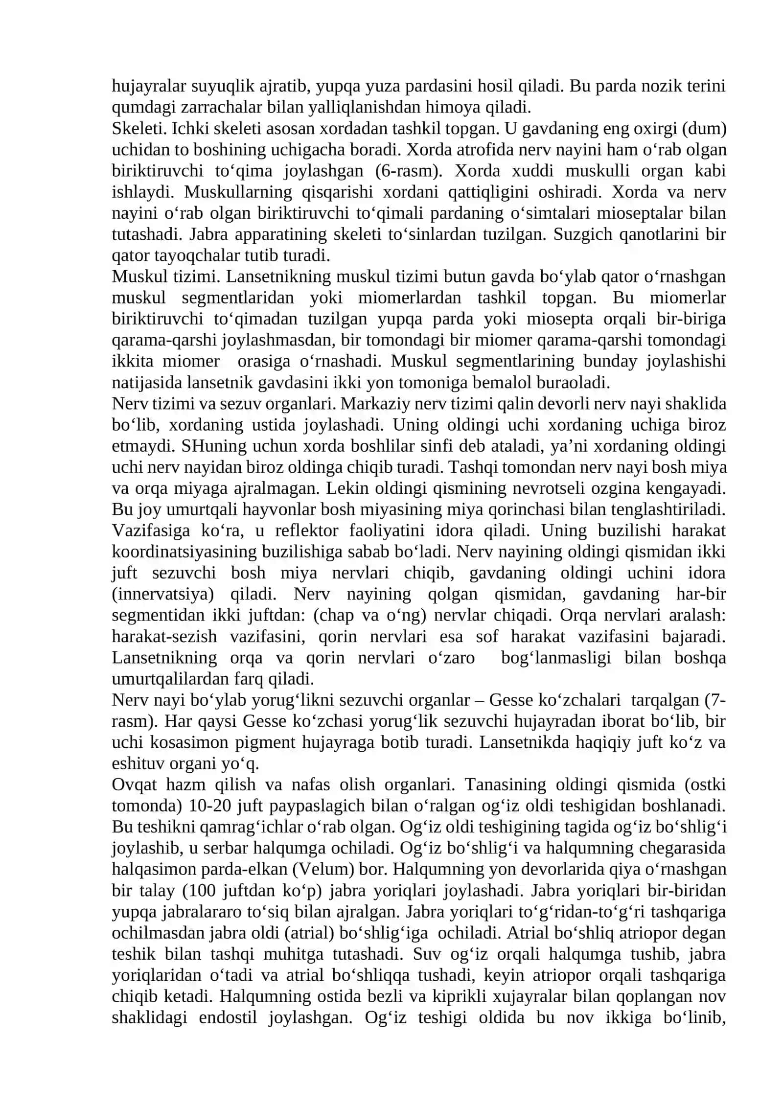 Bosh skeletsizlar kenja tipi – Aerania 2