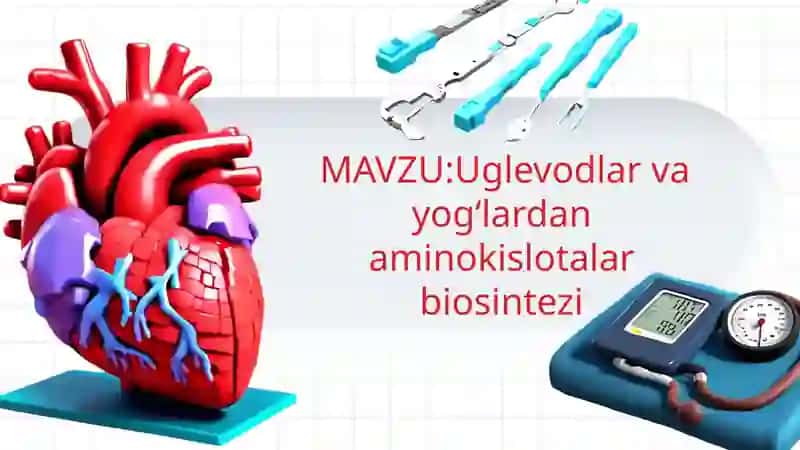 Uglevodlar va aminokislotalar 2