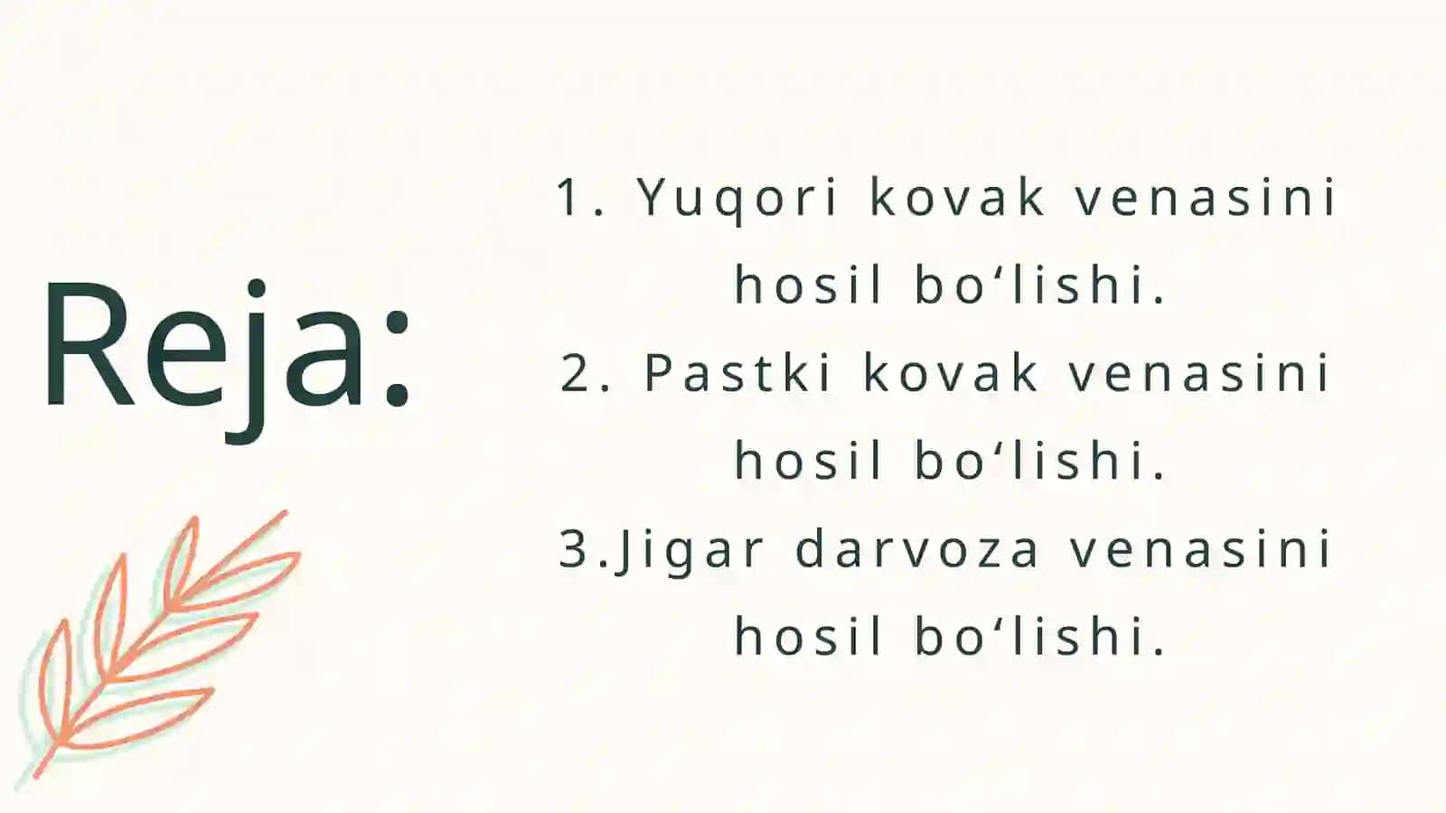 Vena tizimi 2