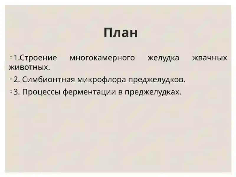 Пищеварительной системы жвачных животных 2