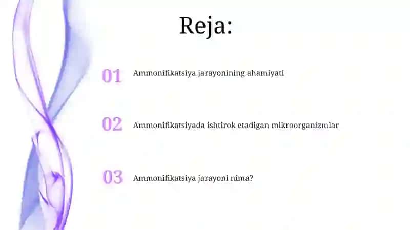 Ammonifikatsiya jarayoni 2