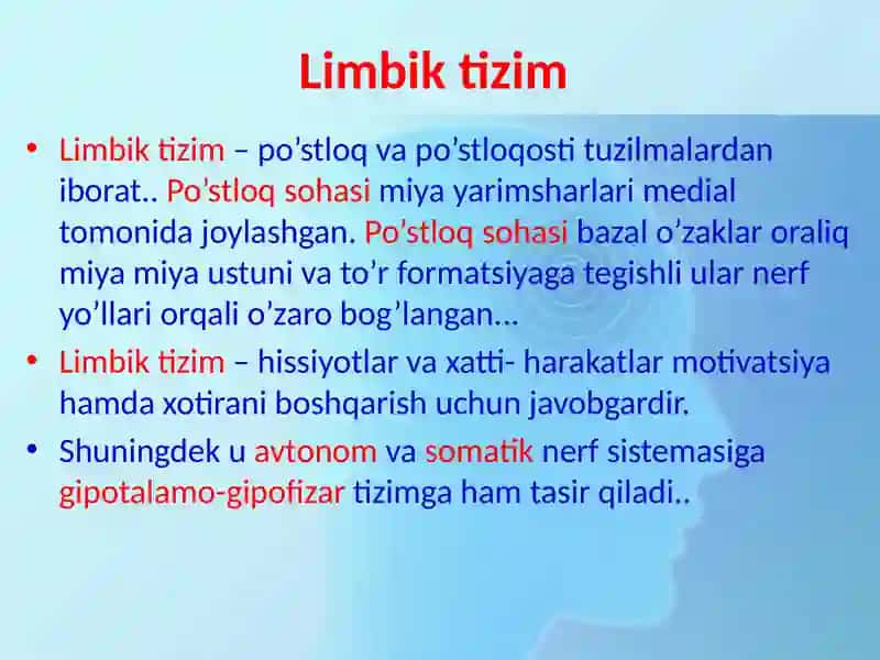 Limbik tizim 2
