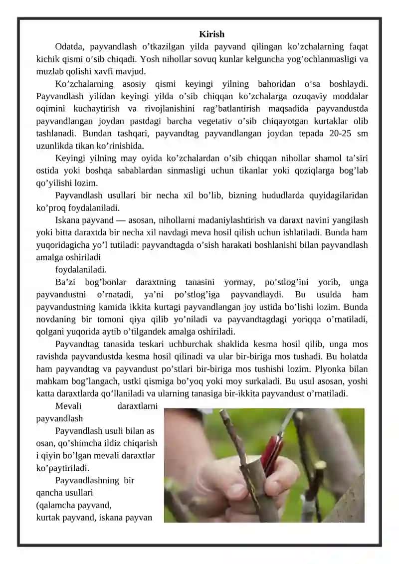 Mevali daraxtlarni payvandlash 2