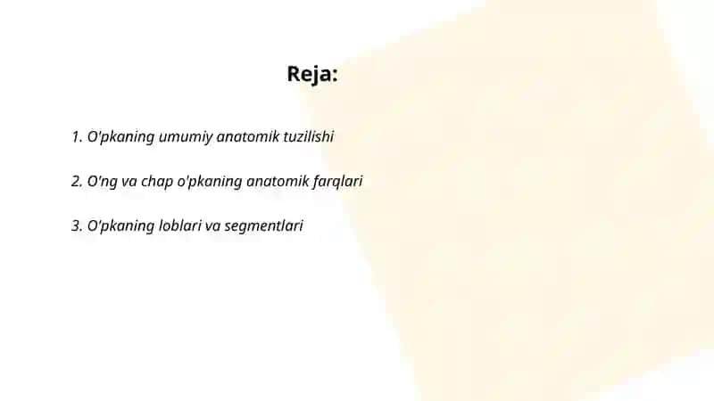 O'pkaning anatomik tuzilishi 2