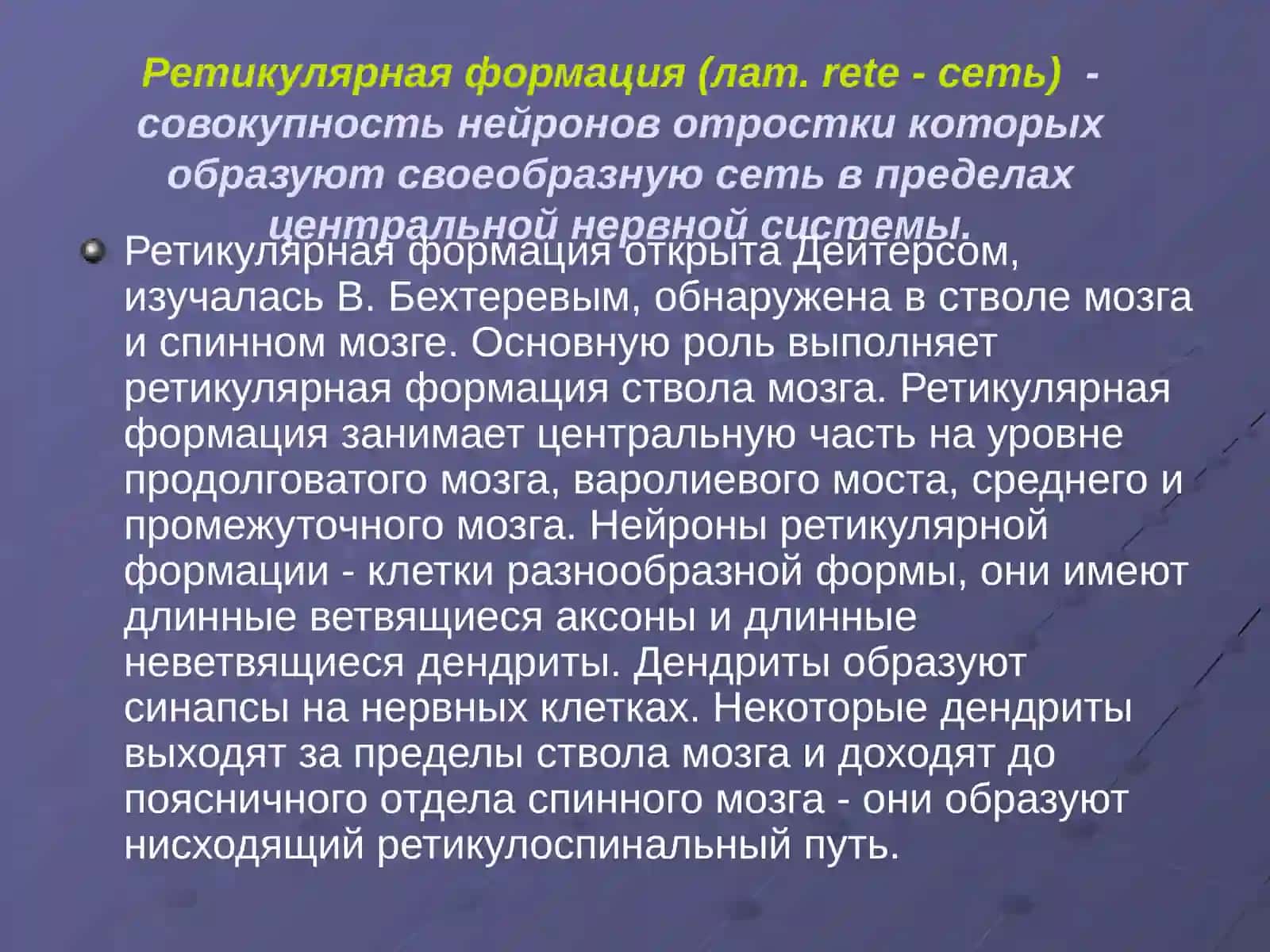 Ретикулярная формация 2