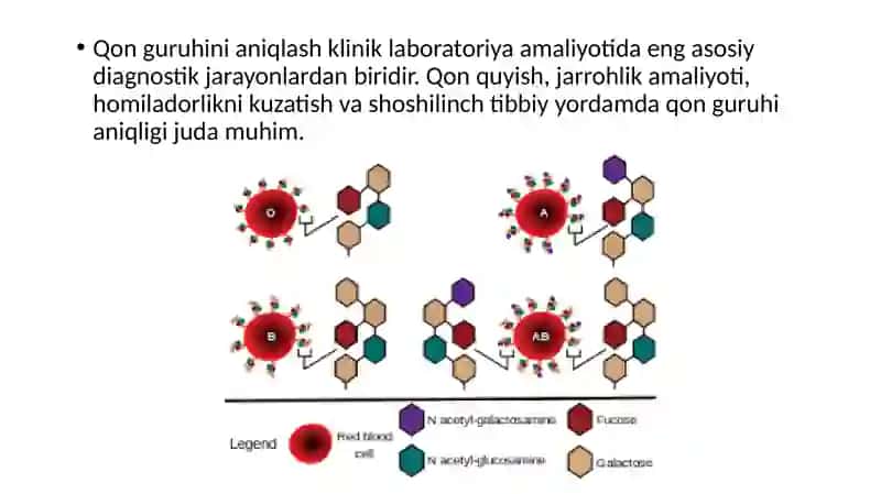 QON GURUHINI ANIQLASH TEXNIKASI 2