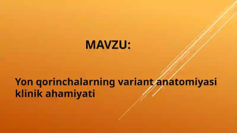 Yon qorincha variant anatomiyasi klinik ahamiyati 2