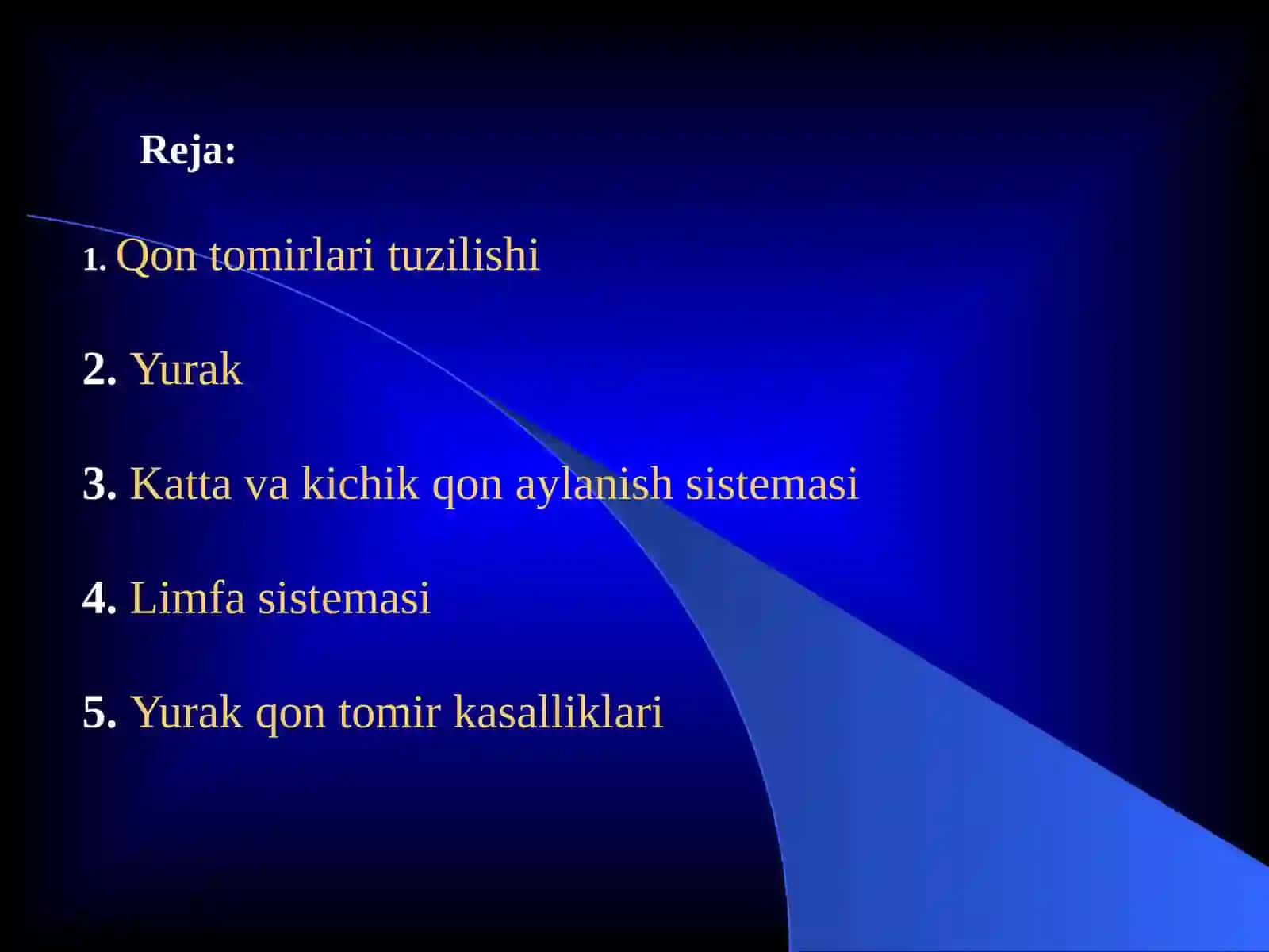 Qon tomirlari tuzilishi va limfa tizimi 2