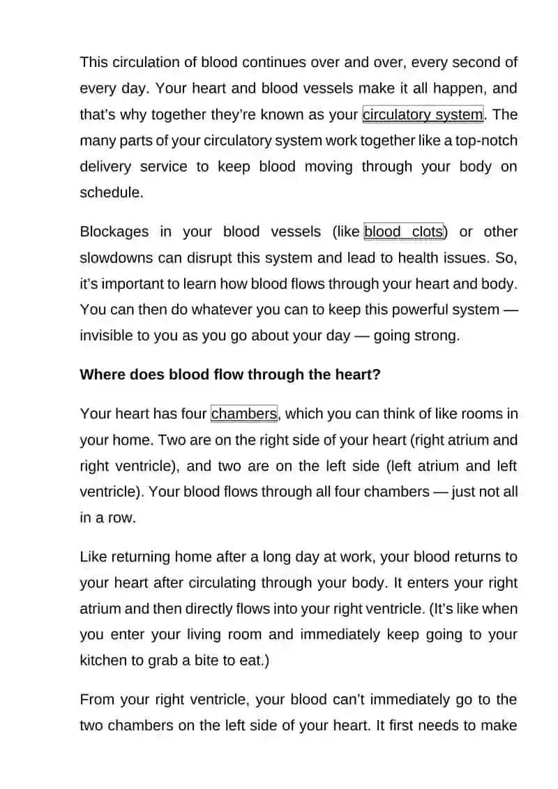 Heart and blood 2