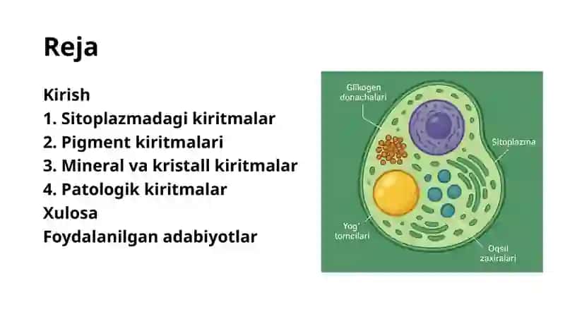 Hujayra Kiritmalari 2