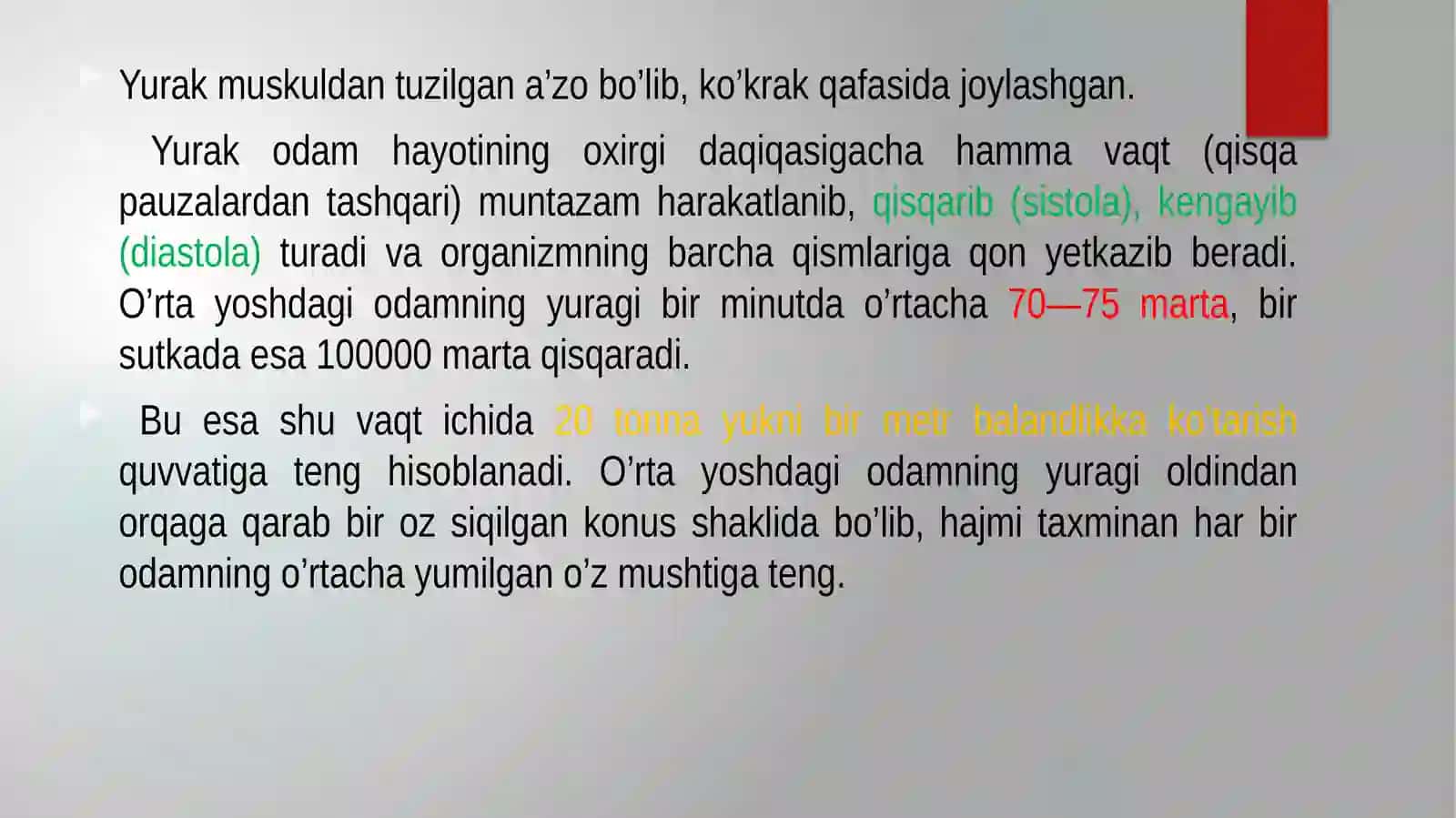 Yurak funksional anatomiyasi 2