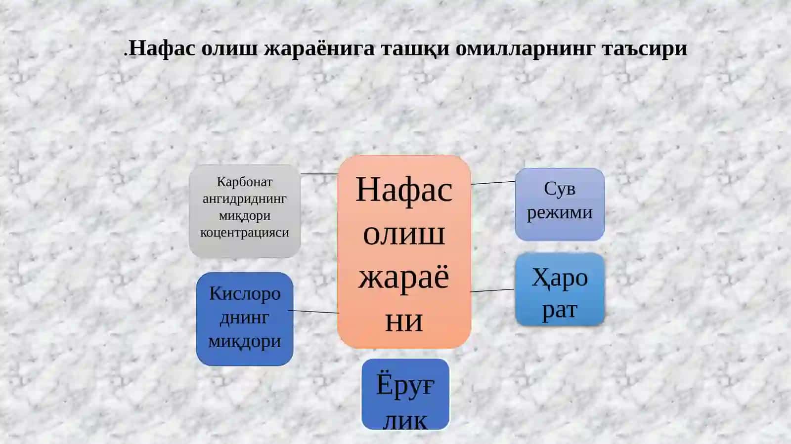 НАФАС ОЛИШГА ИЧКИ ВА ТАШҚИ ШАРОИТЛАРНИНГ ТАЪСИРИ 2
