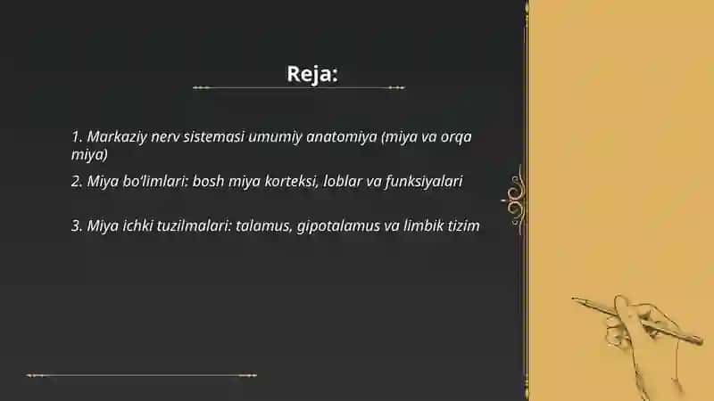 Markaziy nerv sistemasi 2