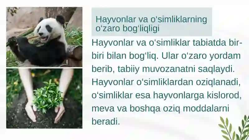 Oʻsimlik va hayvonlarning oʻzaro bogʻliqligi 2