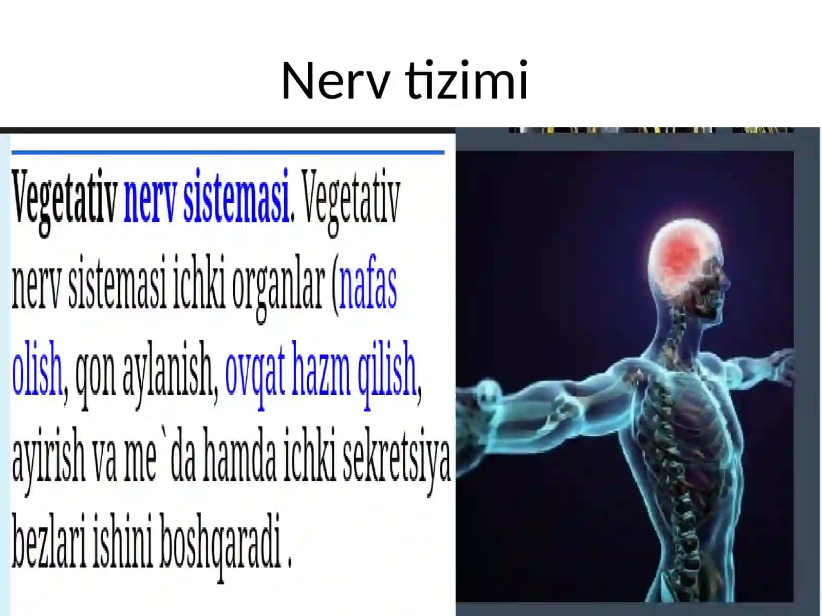 Vegetativ nerv sistemasining faoliyatini oʻrganish 2