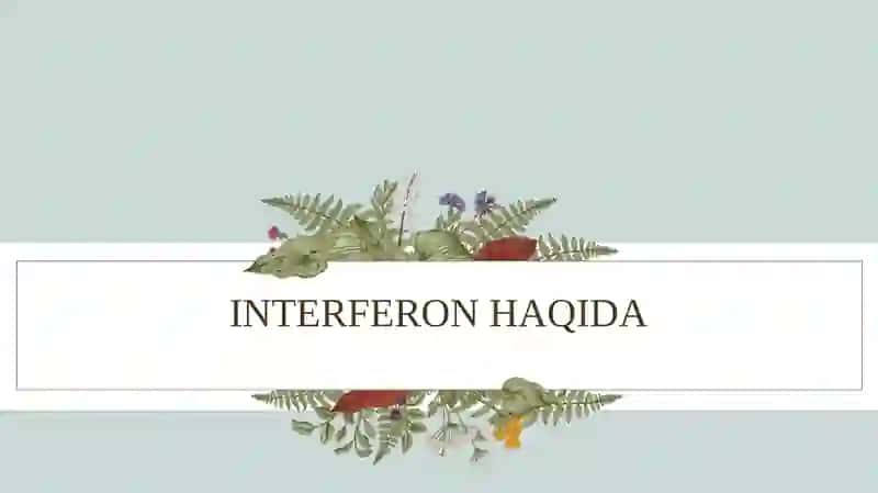 INTERFERON VA SITOKINLARNING SINTEZLANISHI 2