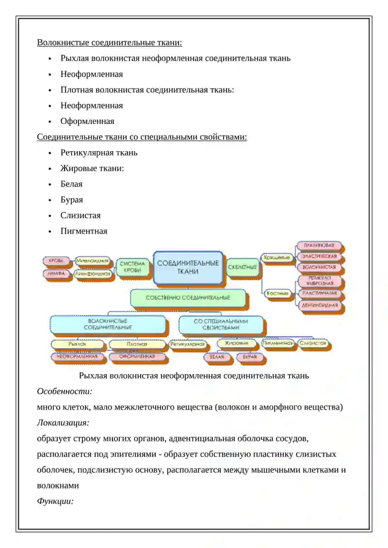 Соединительная ткань 2
