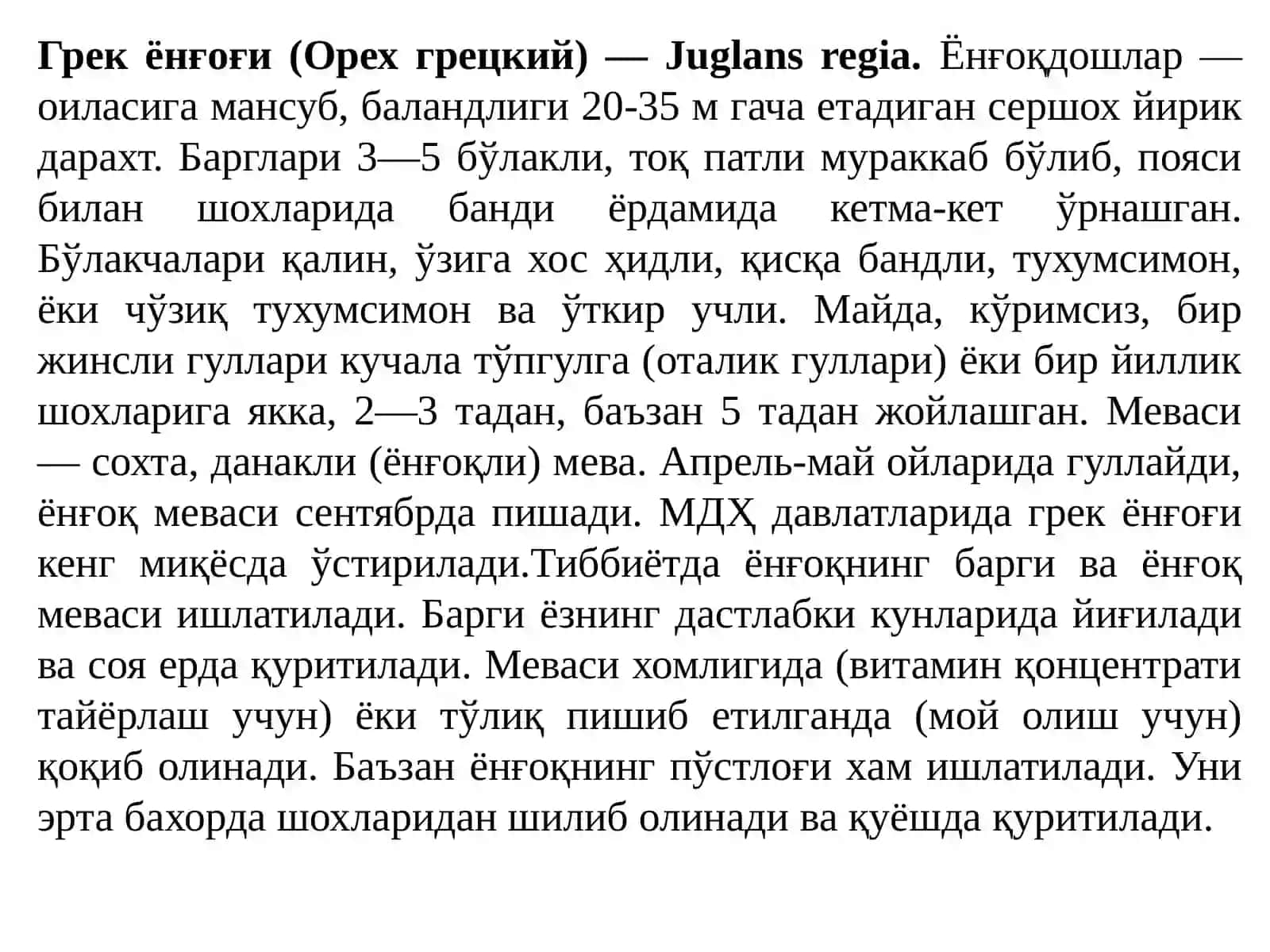 Dorivor daraxtlar hamda ularni shifobaxshlik xususiyatlari 2