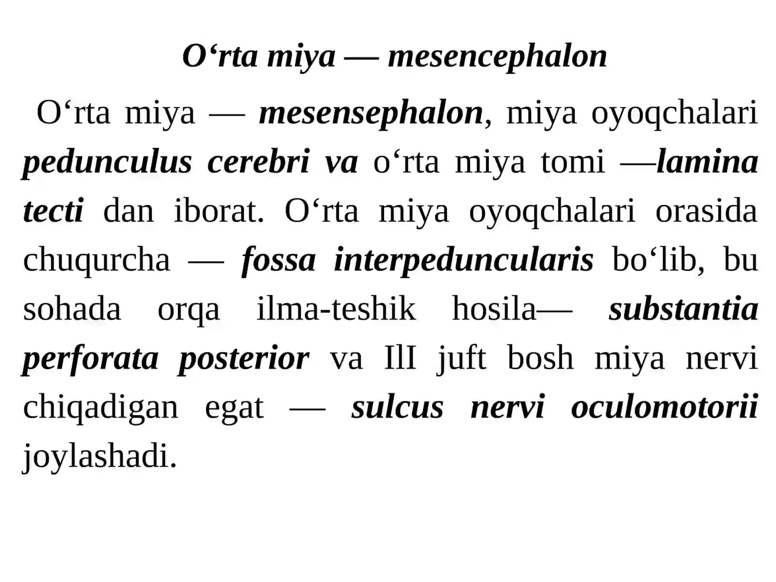 O‘rta miya —mesensephalon 2