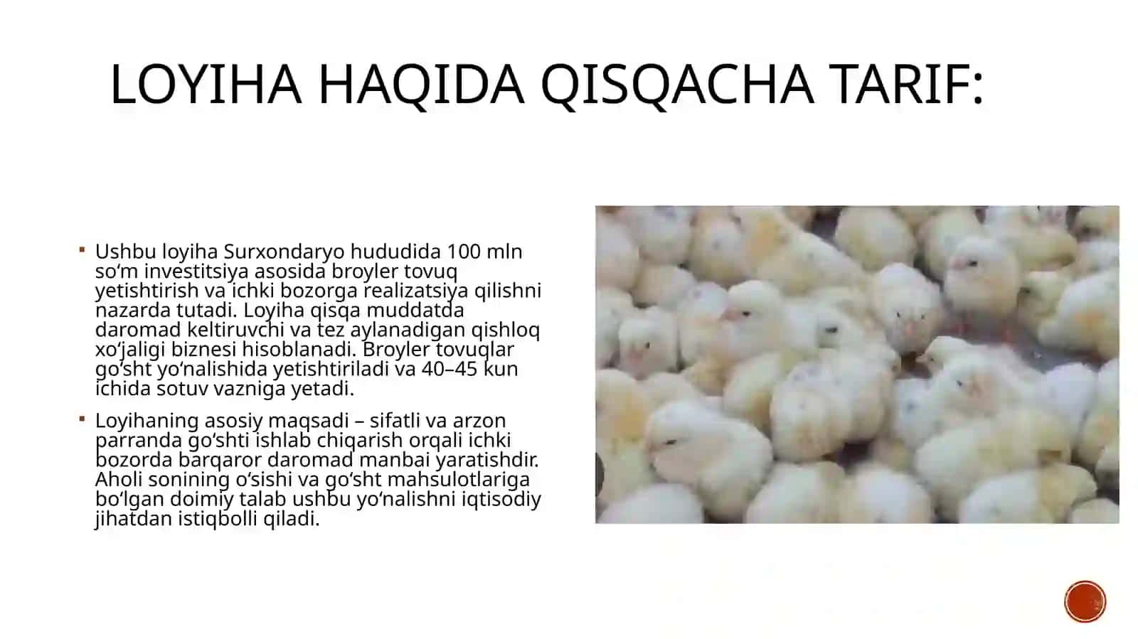 (100 millionlik loyiha ishi)  Broyler to'vush etishtirish loyihasi 2