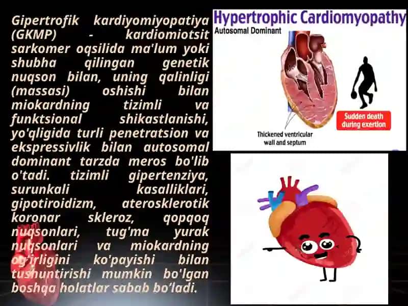 Corazón 2
