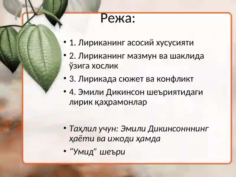 Лирик асар жиҳатлари(Эмили Дикинсон шеърияти) 2