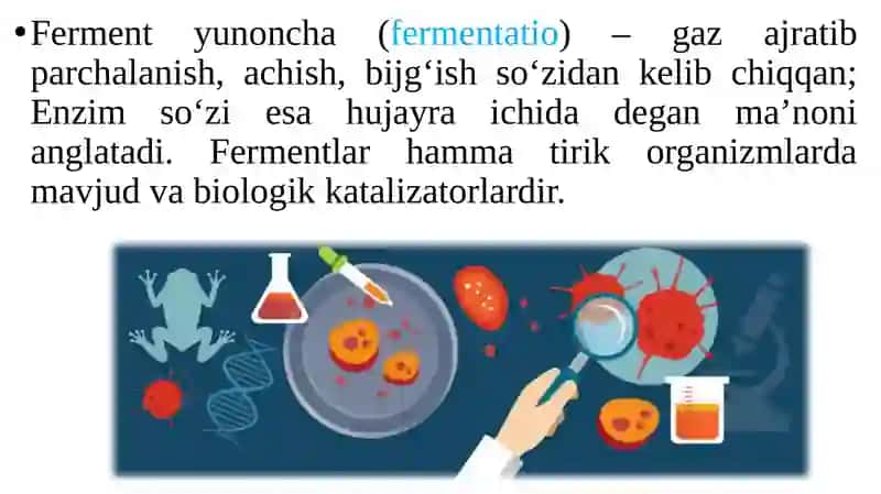 FERMENTLAR MUHANDISLIGI 2