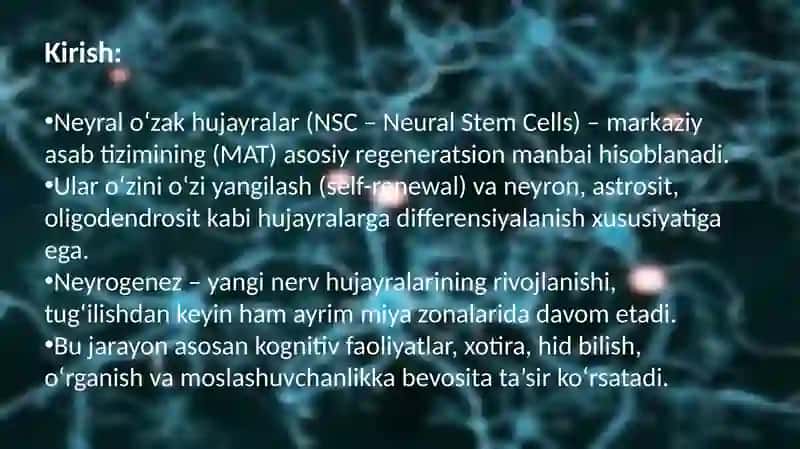 Neyralo’zakhujayralarhaqidatushuncha 2