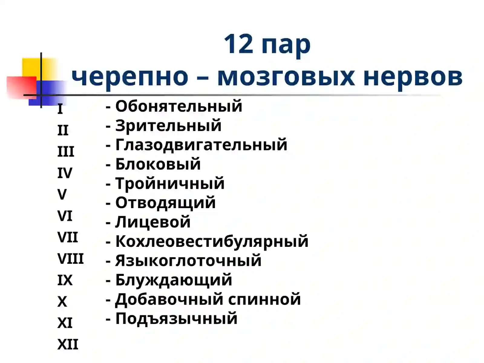 Черепно – мозговые нервы 2
