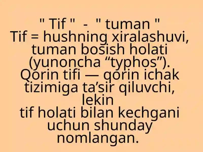 Qorin Tifi 2