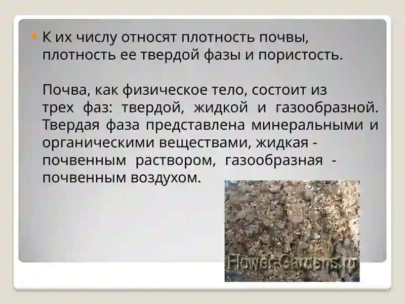 Общие физические и физико-химические свойства почвы 2