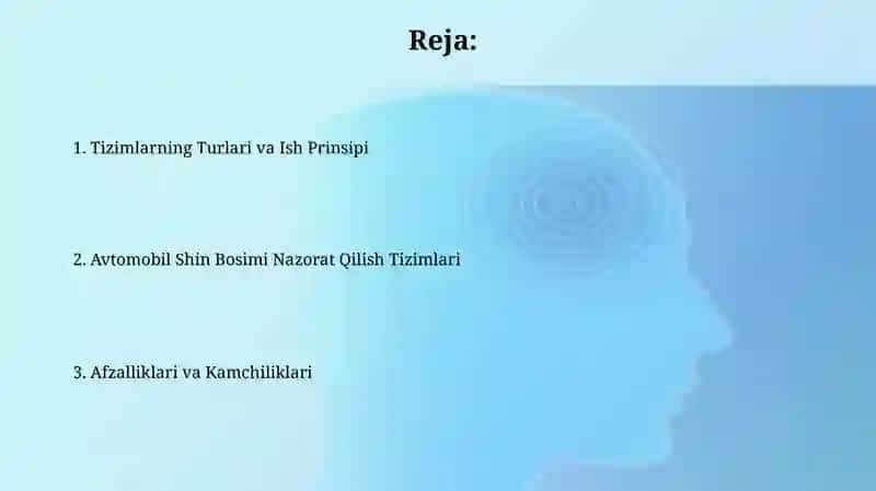 Avtomobil shinalarini nazorat qilish tizimlari 2