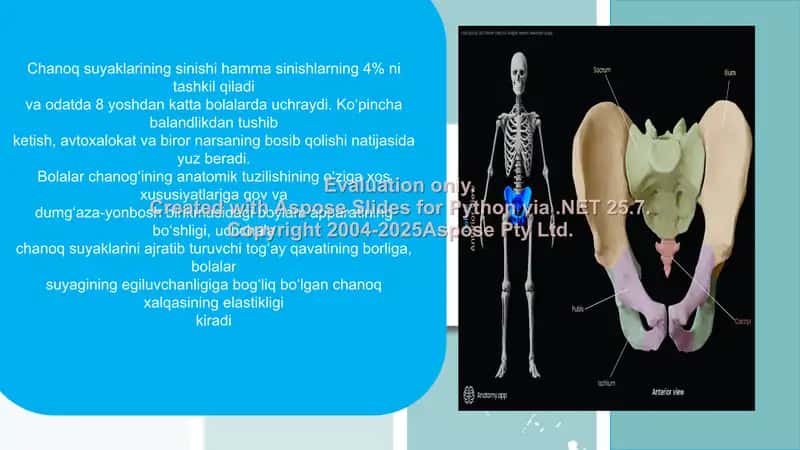 Chanoq suyagi jarohatlari 2