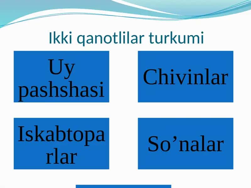 Ikki qanotlilar turkumi 2