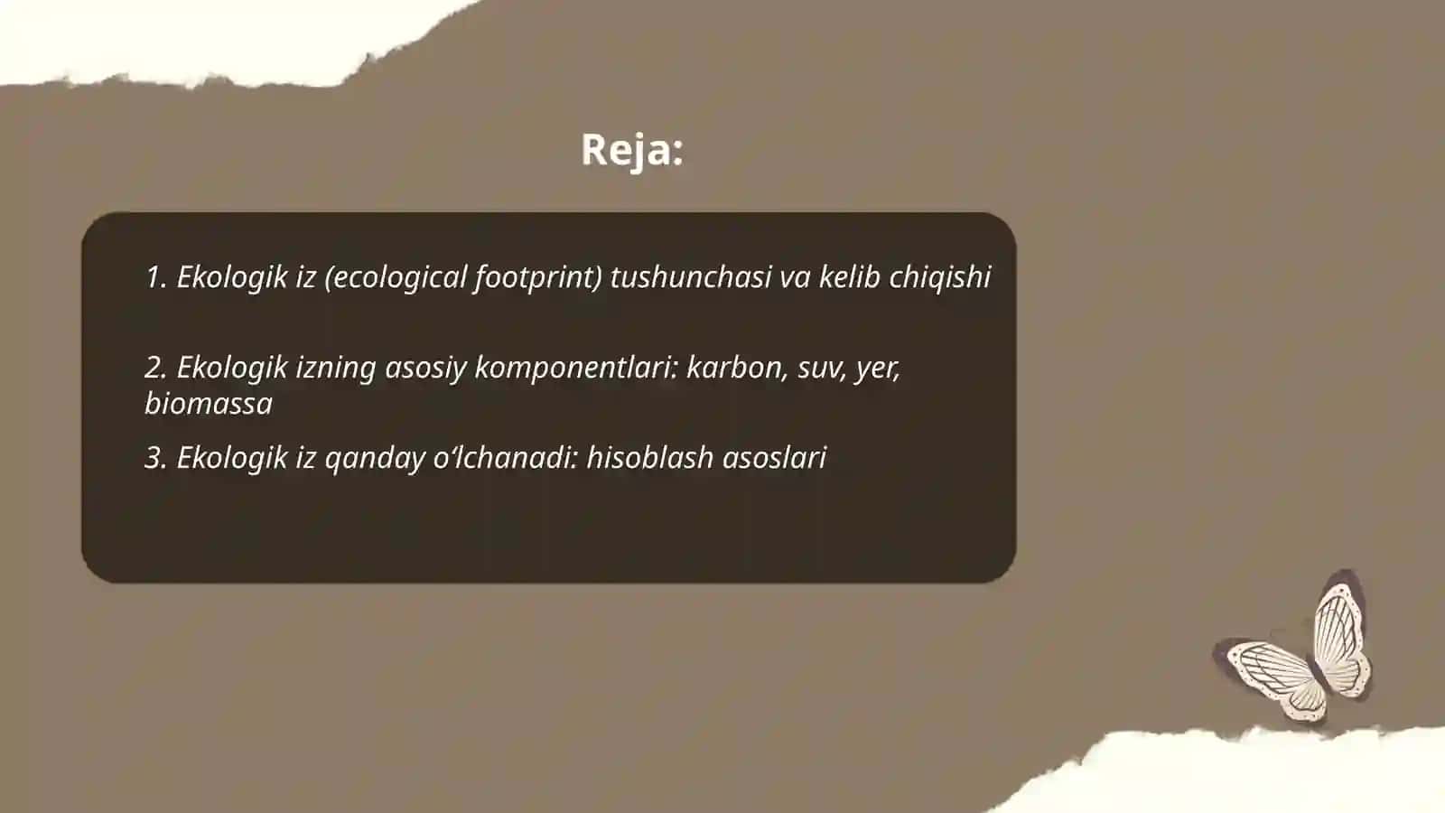 Ekologik iz konsepsiyasi 2