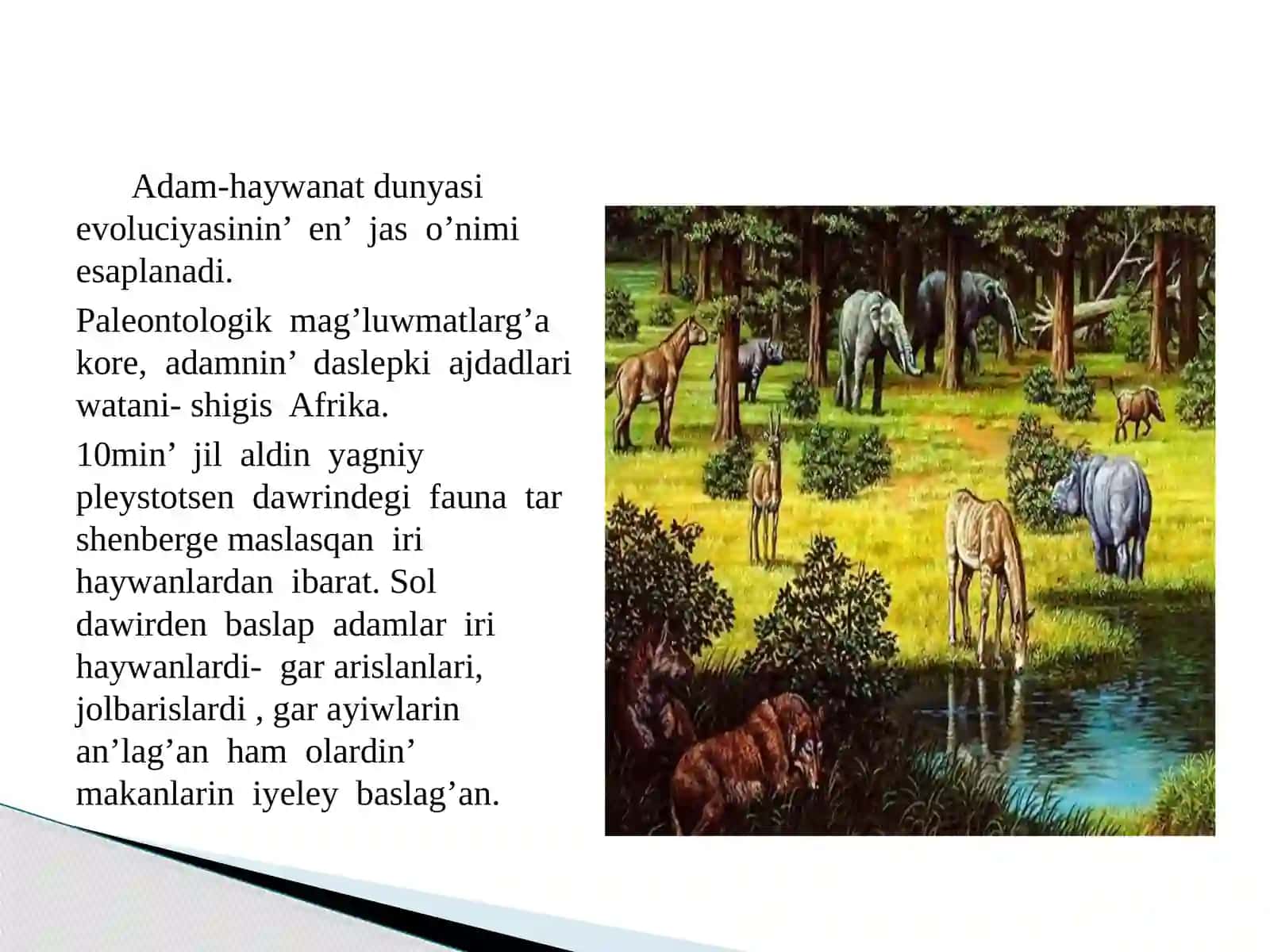Seytmuratova Asiyanin' insan evolyuciyasi 2