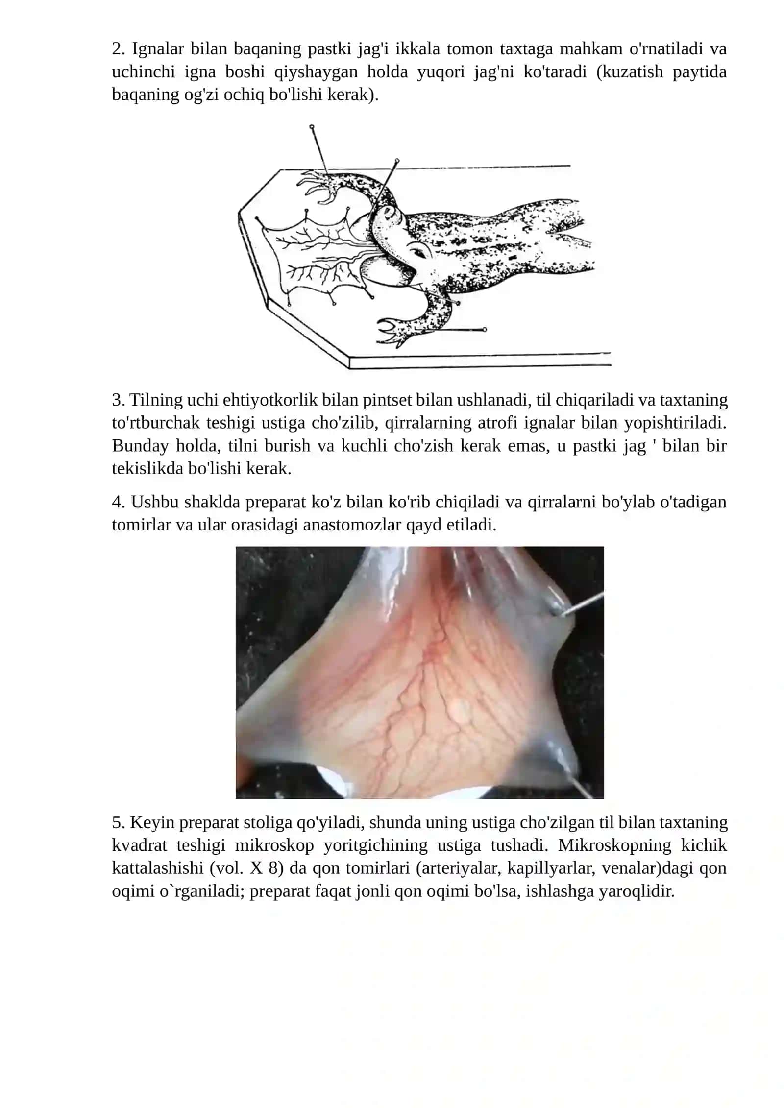 Quyon qulog'ining arterial giperemiyasi 2