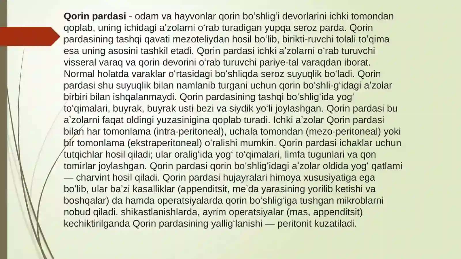 Qorinpardaning tuzilishi 2
