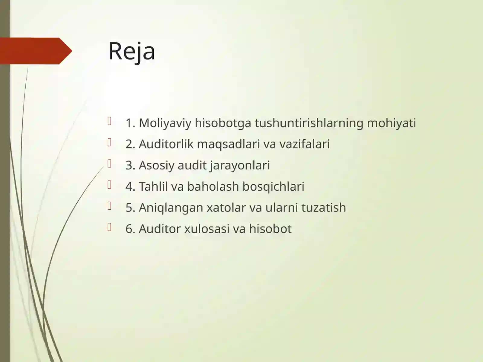 Moliyaviy hisobotga tushuntirishlar (izohlar) auditi 2