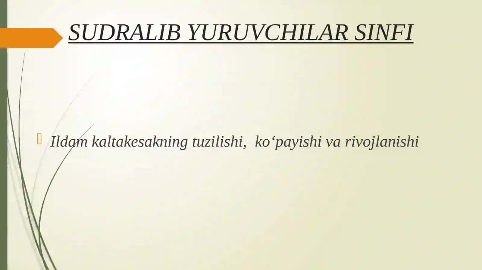 Sudralib yuruvchilar sinfi 2