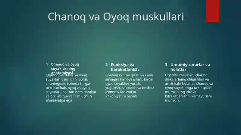 Chanoq va oyoq suyaklarining anatomiyasi 2