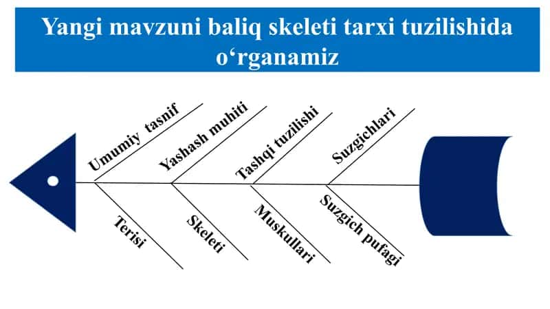 Biologiya darsi 2