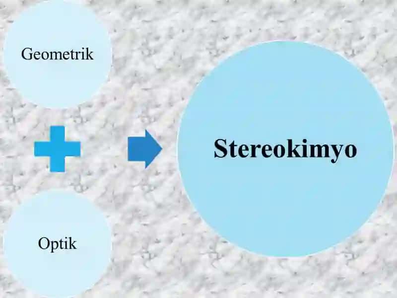 GOMOFUNKSIONAL BIRIKMALAR 2