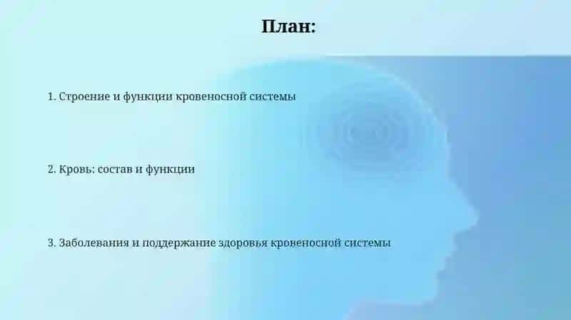 Система кровообращения 2