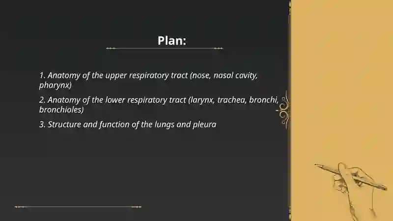 Body systems. Respiratory system 2