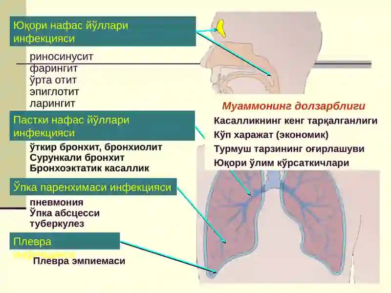 Болаларда пневмония 2