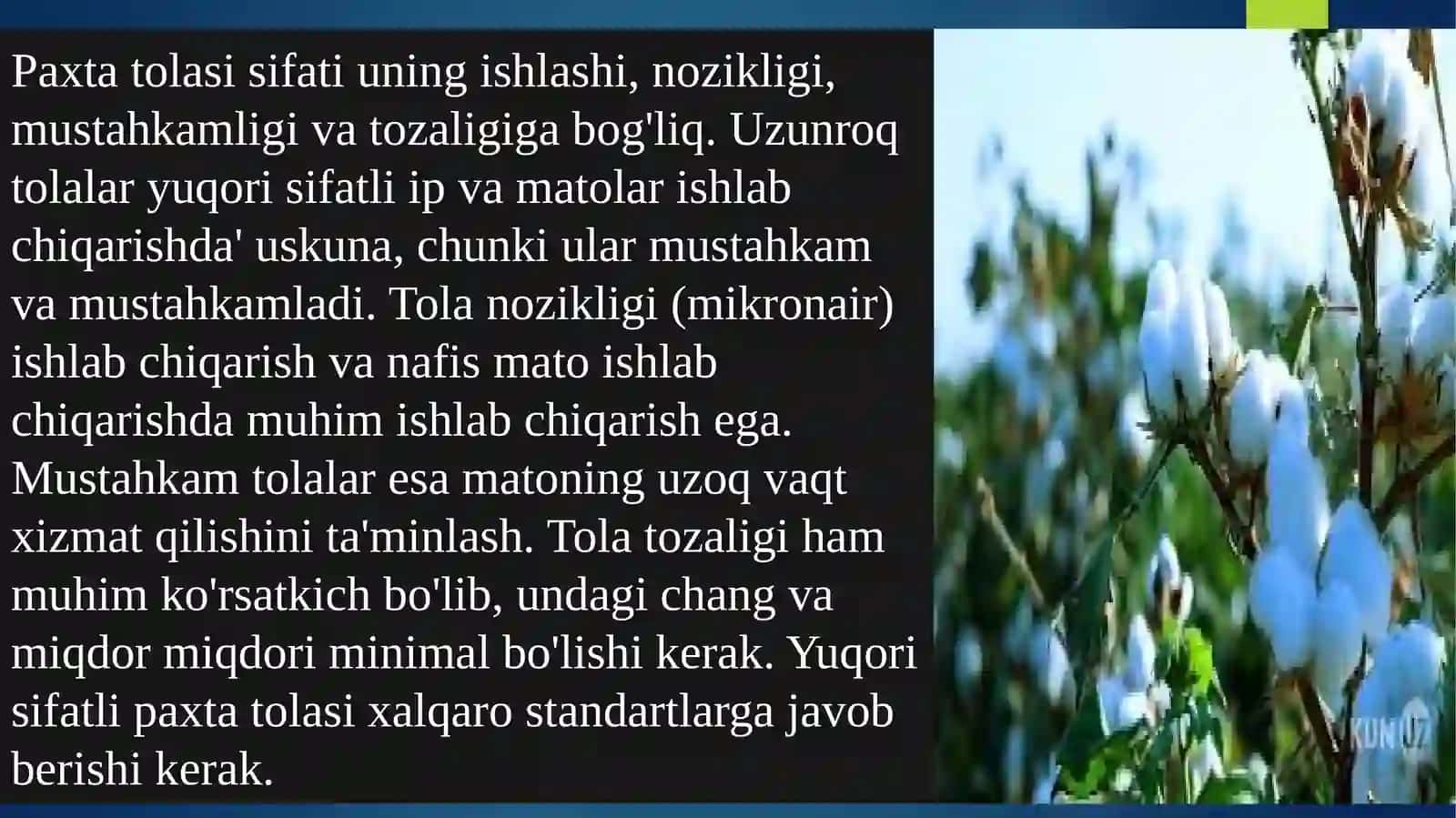 Paxta to'lasi standartlari 2